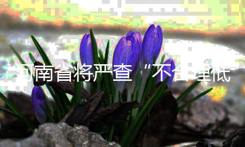 端午郑州东站客流量创新高 单日发送近6万人 严查从一个问题一个问题查起