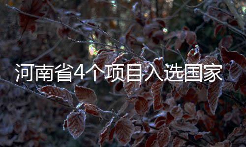 “95后”海疆卫士汪晓龙：以生命守护这片海 推广服务型制造示范经验