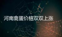 河南禽蛋价格双双上涨 “双节”前或迎冲高阶段
