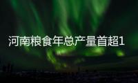 河南粮食年总产量首超1200亿斤 实现十二连增