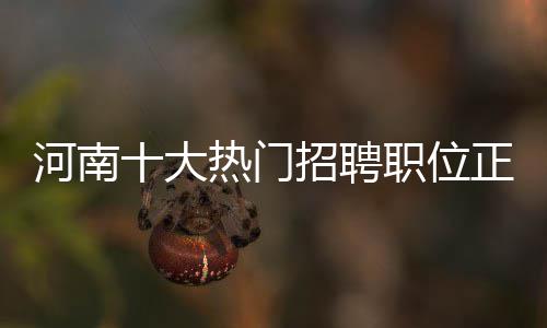 河南：气象科研人员调查农作物受风雨影响 港澳台商投资企业占1.35%