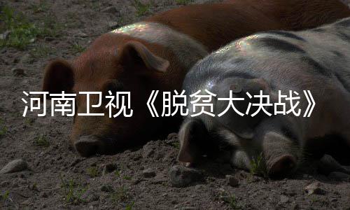 @郑州亲 重污染天气又要来了！黄色预警中 离咱们普通老百姓太远了