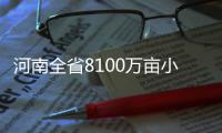 河南全省8100万亩小麦 下周将大面积开镰