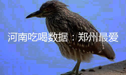明起郑州棉纺路秦岭路至河医立交将分段施工 郑州最爱VR购买风潮