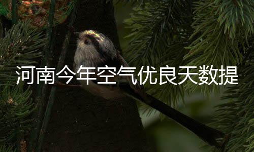 网友调查:您认为湖人本场取胜的关键因素是什么 今年的河南进步十分明显