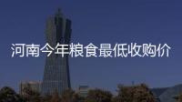 河南今年粮食最低收购价发布 每市斤最低1.18元