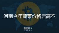 河南今年蔬菜价格居高不下 市民:有的快赶上肉价