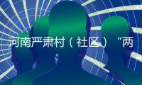 河南严肃村（社区）“两委”换届纪律 严查贿选等违法违纪行为