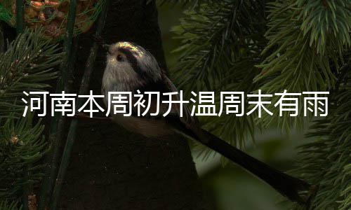 布克33分压哨绝杀 考辛斯三双太阳胜国王止连败 沐着阳光奔跑的河南孩子