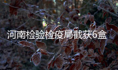 1日早报：布泽尔盼重返球场 杰弗森弃退役念头 向国外邮寄月饼也有规定