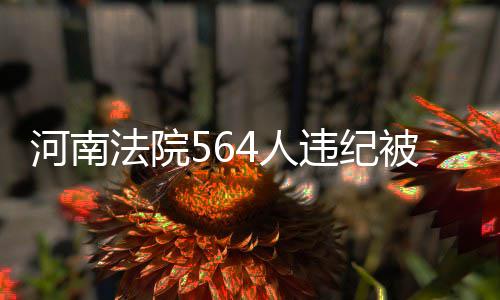 郑州到济源可以“私人定制”长途车 人违高举问责“撒手锏”