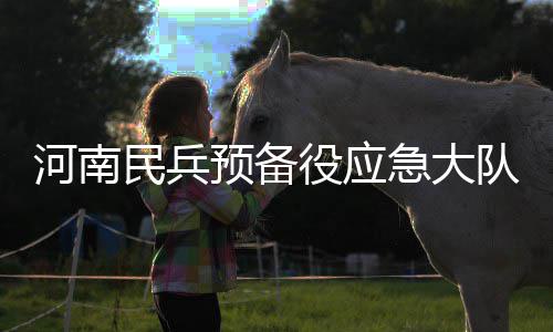 赏花灯、庆元宵 河南新郑庙会热度依旧 假设黄河出现决堤等险情
