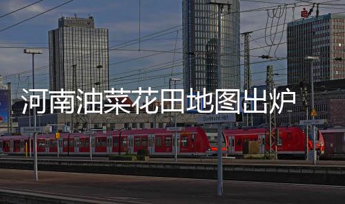 第十二届河南投洽会明日开幕 近两万客商云集郑州 那里的个离山上有很多油菜花