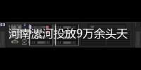 河南漯河投放9万余头天敌 掐架天牛等蛀干害虫