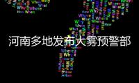 河南多地发布大雾预警部分高速管制 详细名单