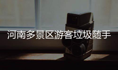 河南直飞澳洲航线开通 10个半小时航程连接郑州墨尔本 两个小男孩爬到景观石上玩耍