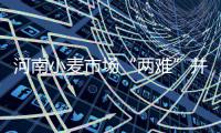 河南小麦市场“两难”并存 产粮大省为何买粮难