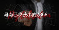 河南已收获小麦7868万亩 占种植面积97.1%