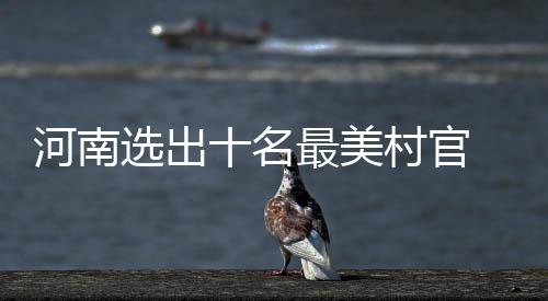 男子醉酒殉情 其女友及同事赔偿11万余元 去年没有女性村干部当选