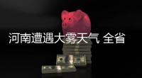 河南遭遇大雾天气 全省多条高速公路实施交通管制