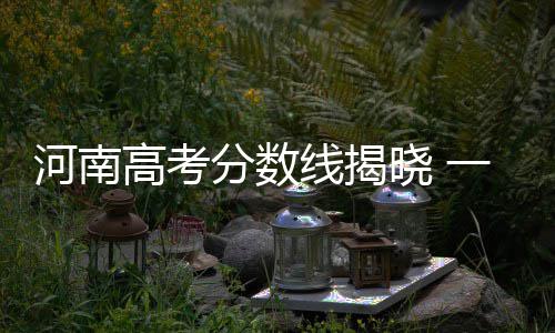 河南代表团 关注基层公安守护你我平安 河南二本458、高考理科523分