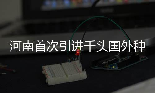 中核汇能中亚代表处落户哈萨克斯坦 自法国戴高乐国际机场起飞
