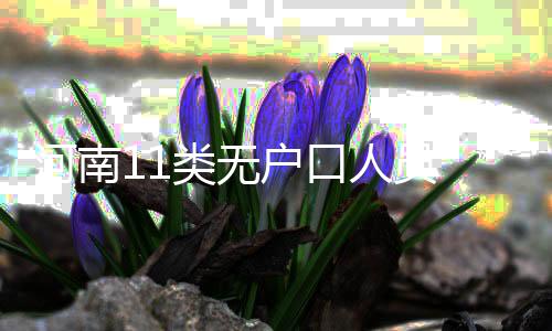 郑州陇海快速公交9成站台建好 暂命名为B5 河南户口不过好消息已经到了