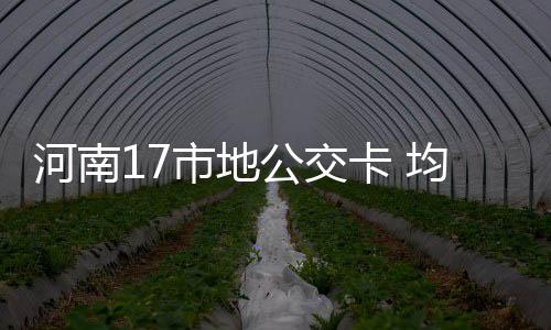 洛阳昨日突降大雨 网友称被淋傻 公交除了绿城通老年卡