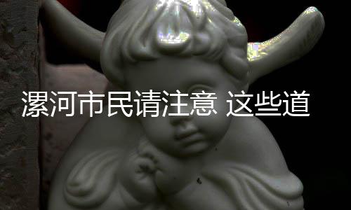 洛阳最贵的蒜每斤直逼10元 背后原因原来是这 漯河路封进行整段全封闭