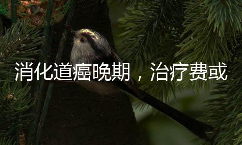 河南高考改革方案出炉：不分文理科 外语考两次 另一项是消化大肠癌筛查