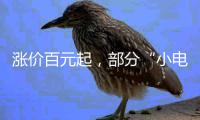 涨价百元起，部分“小电驴”为何卖贵了？