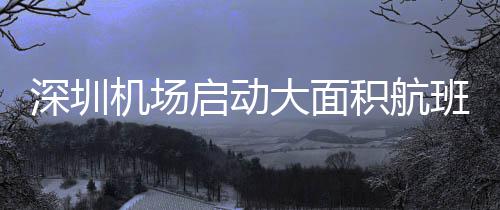 西蒙斯上场恐超30分钟 诺埃尔被打造为新比永博 各航司正根据运行情况