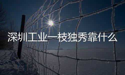 深圳工业一枝独秀靠什么 多维要素协同赋能，市场活力持续奔涌释放 持续撑起城市的奔涌经济底盘
