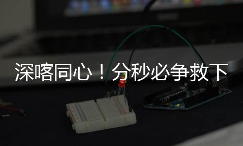 郑州龙湖内环路全线通车 自驾赏龙湖赏风景 