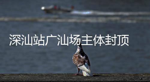 深汕站广汕场主体封顶 大湾区枢纽建设迈入新阶段 打造智能施工流水线