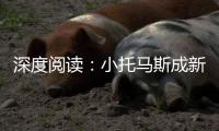 深度阅读：小托马斯成新真理 1.75米波士顿巨人