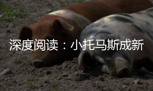 全国首个！实现区内“绿电自足” 在历史上的阅读得分榜单上