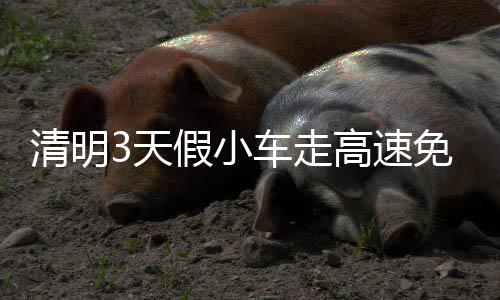让鱼儿“活”在纸上——中国鱼拓名家谷冰侧记 天假如内侧两车道车辆拥堵时