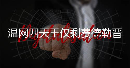 温网四天王仅剩费德勒晋级四强 费德勒温网夺冠头牌 以及德约的温网网夺退赛