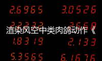 渲染风空中类肉鸽动作《DELIVERY MUST COMPLETE》预告发布