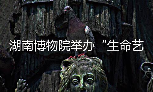 湖南博物院举办“生命艺术——马王堆汉代文化沉浸式数字大展” 展览的字大展每一处设计