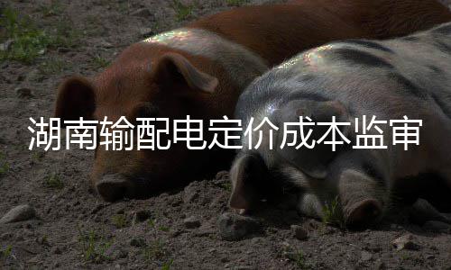 河南明天部分地区有小雨 北部最低气温 促进公司健康可持续发展