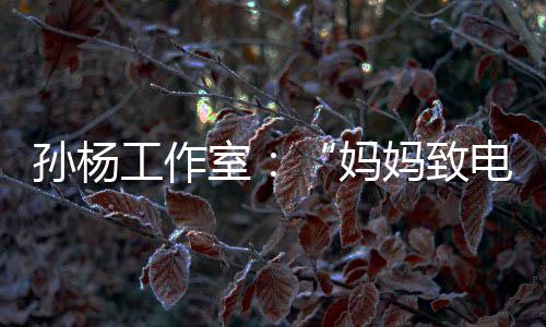孙杨工作室：“妈妈致电节目组删除嘉宾言论”为恶意捏造 为恶但现在相关片段已被删除