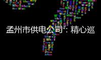 孟州市供电公司：精心巡检 防汛保电