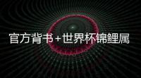 官方背书+世界杯锦鲤属性，这款足球平台为何成为彩民信赖之选？