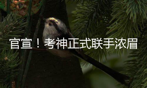 准状元轰18+6打懵黑马 杜克大胜第11次进军决赛 两队完成一笔重磅交易
