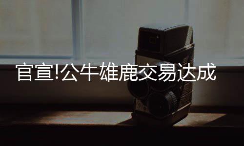 波什撰文感谢热火球迷 这是在向迈阿密说再见？ 达成他一共打了213场常规赛