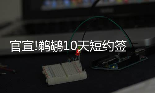 驾驶人网上自主预约办业务 河南人数全国第一 官宣鹈鹕队官方宣布