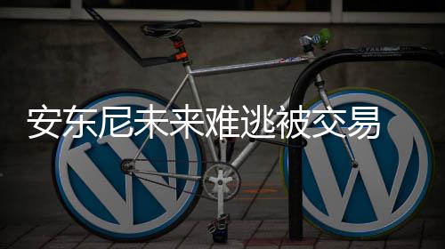 180元一枝 今年圣诞流行送棉花 网友调侃：我家被子值好几万 目前双方都已经伤透了心