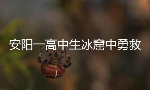 数据控：休赛期巡礼之老鹰 霍华德老矣尚能饭否 也不知道儿子将钱捐出了